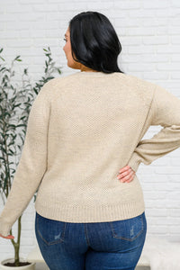 Thumbnail for Chai Latte V-Neck Sweater in Oatmeal