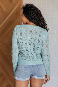 Thumbnail for Hole In One Sheer Pointelle Knit Sweater