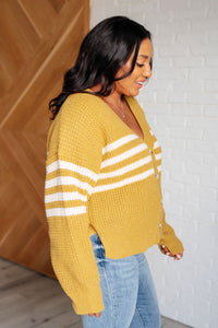 Thumbnail for On Top of the World Striped Cardigan