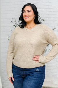 Thumbnail for Chai Latte V-Neck Sweater in Oatmeal